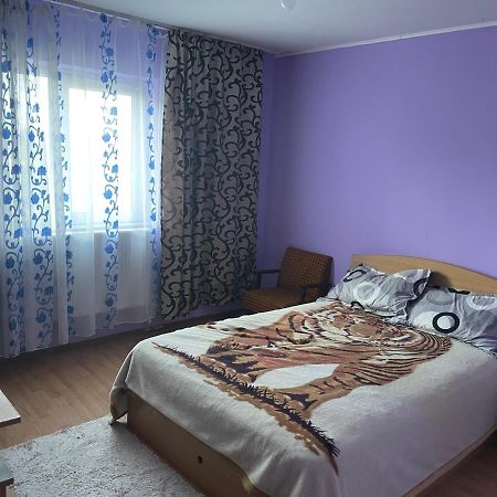 Sofia Rezidence Apartment Dragasani Exterior photo